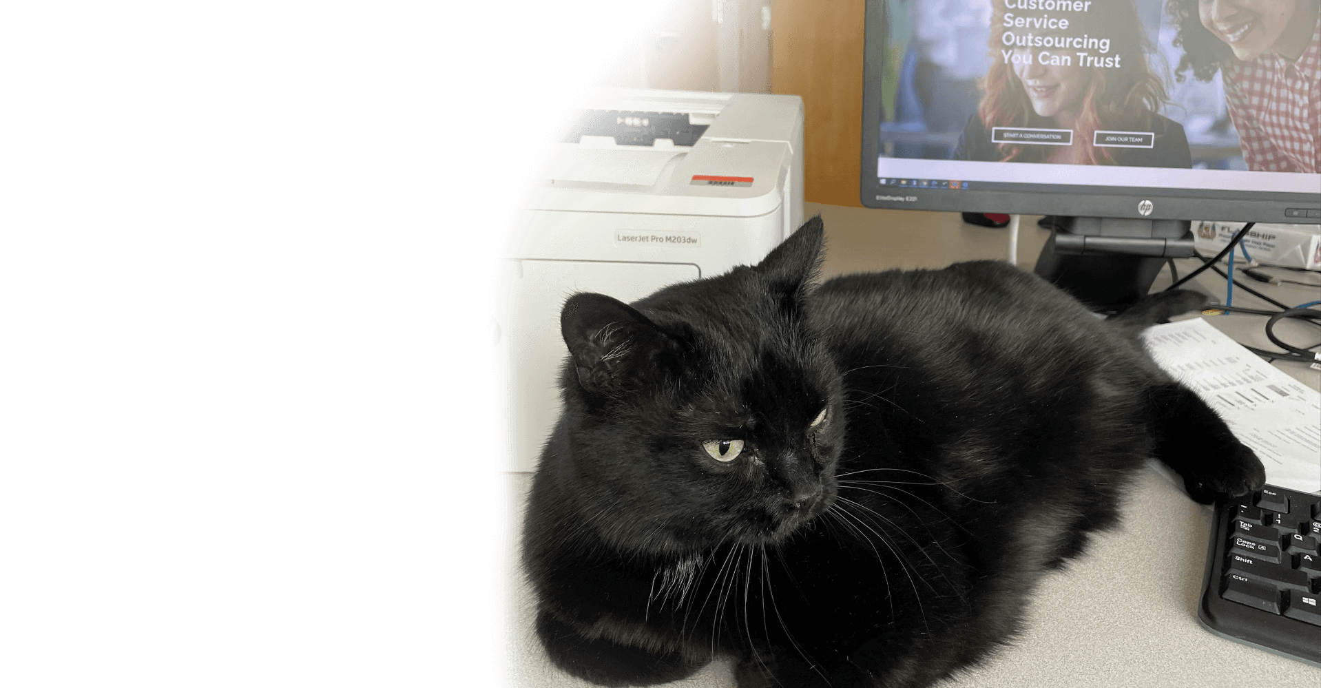 Contact UsCall Center is Standing By SaviLinx